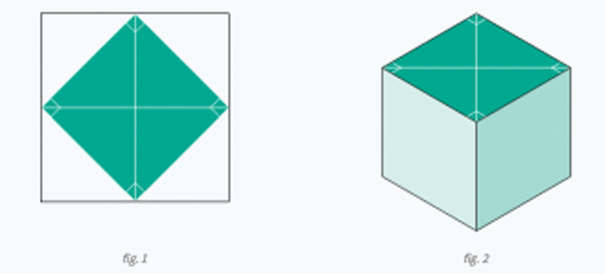 The cube